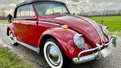 beetle convertible 1965 body off restored kevermobiel