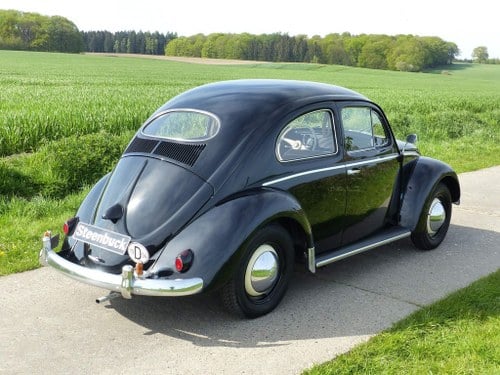 1954 Volkswagen Beetle - 6