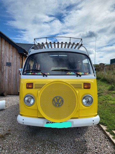 2010 Volkswagen Campervan