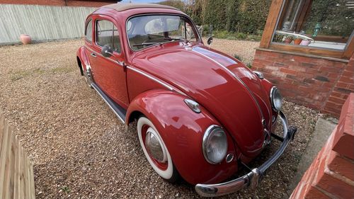 Picture of 1959 Volkswagen Beetle 117 - Show Winning Car - For Sale