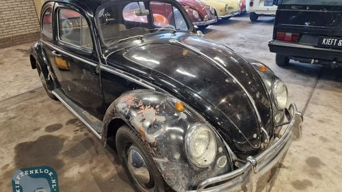 Picture of 1960 Beetle, Kever, Volkswagen Beetle, Kaefer, - For Sale
