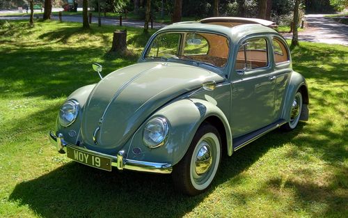 1959 Volkswagen Beetle (picture 1 of 29)