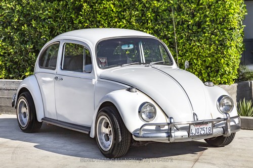 1967 Volkswagen Beetle For Sale