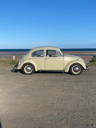 1964 Volkswagen Beetle