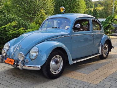 1956 Wolkswagen Beetle Oval