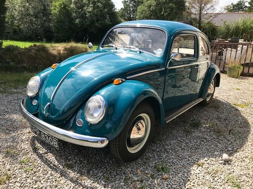 1964 Volkswagen Beetle