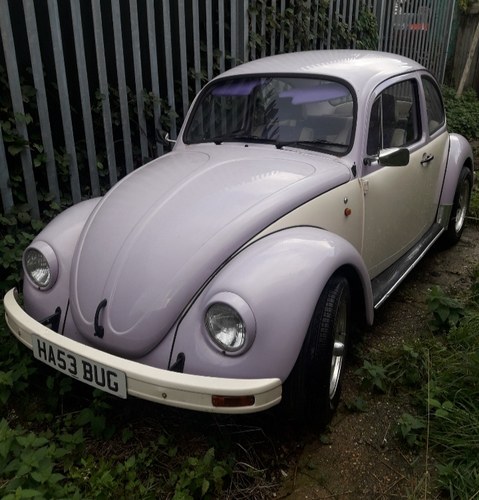 2003 Final Beetle