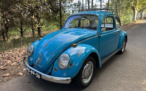 1966 Volkswagen Beetle (picture 1 of 12)