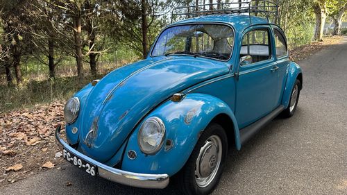 Picture of 1966 Volkswagen Beetle - For Sale