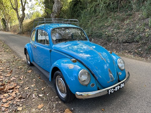1966 Volkswagen Beetle - 2
