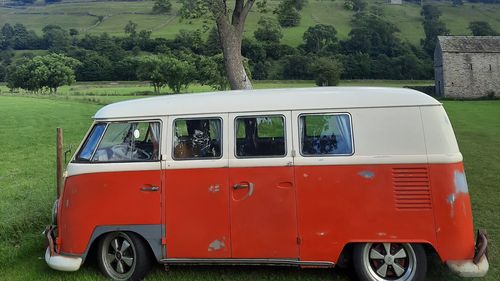 Picture of 1964 Volkswagen Type 2 - For Sale