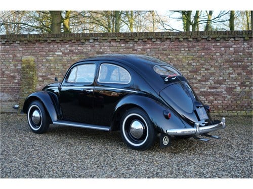 1955 Volkswagen Beetle - 2