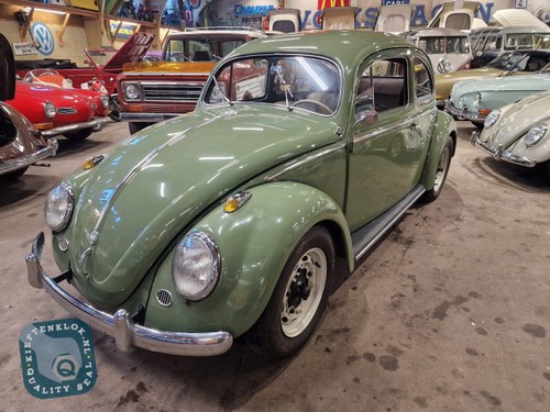 1954 Volkswagen Beetle - 5