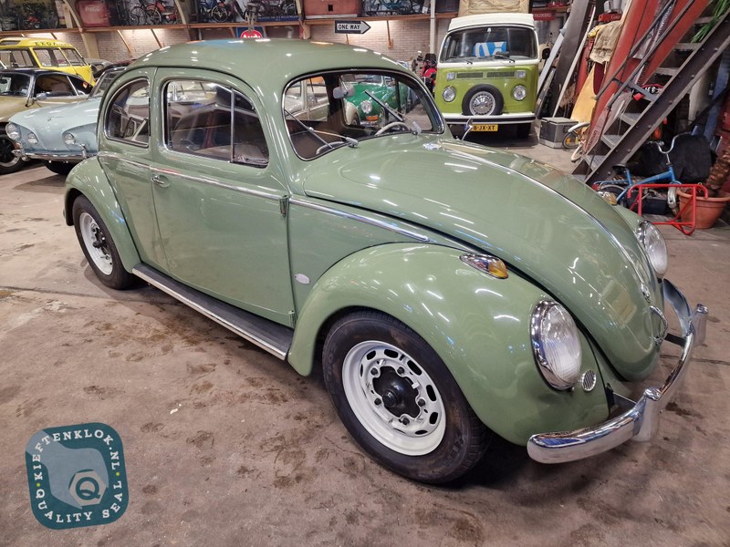 1954 Volkswagen Beetle - 7