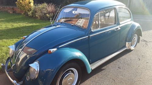 Picture of 1965 Volkswagen 1300A - For Sale