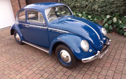 1960 Volkswagen Beetle (picture 1 of 16)