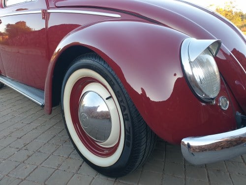 1953 Volkswagen Beetle - 6