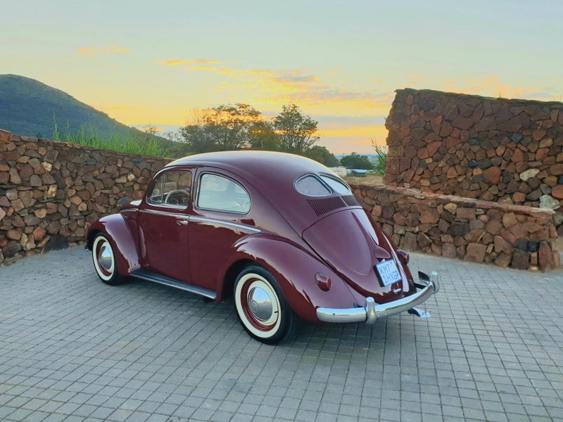 1953 Volkswagen Beetle - 7