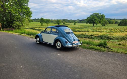 1957 Volkswagen Beetle (picture 1 of 34)