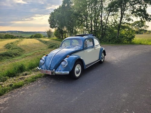 1957 Volkswagen Beetle - 2