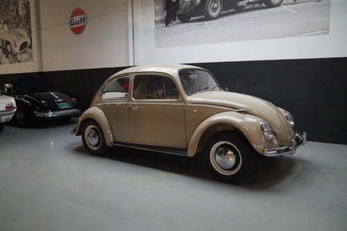 VOLKSWAGEN BEETLE Beautiful Driver Restored (1967) Kaufen Bei