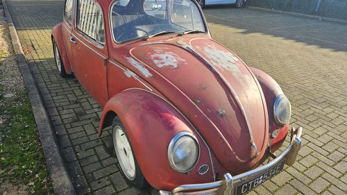 Picture of 1967 Volkswagen 1300A - For Sale