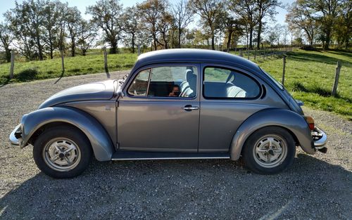 1986 Volkswagen Beetle (picture 1 of 13)