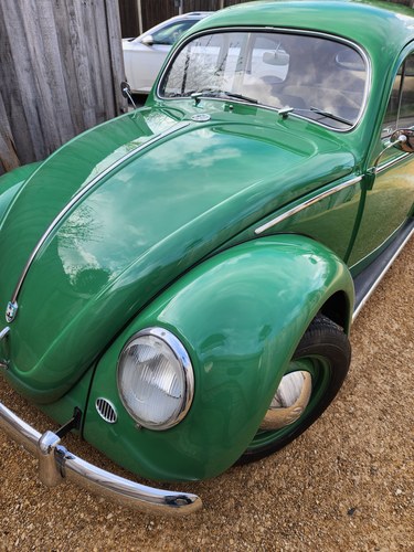 1955 Volkswagen Beetle