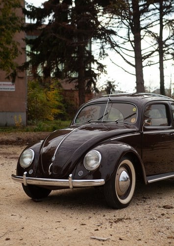 1952 Volkswagen Beetle - 3