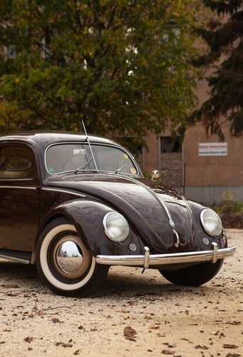 1952 Volkswagen Beetle - 5