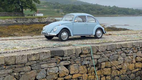 Picture of 1966 Volkswagen Beetle - For Sale