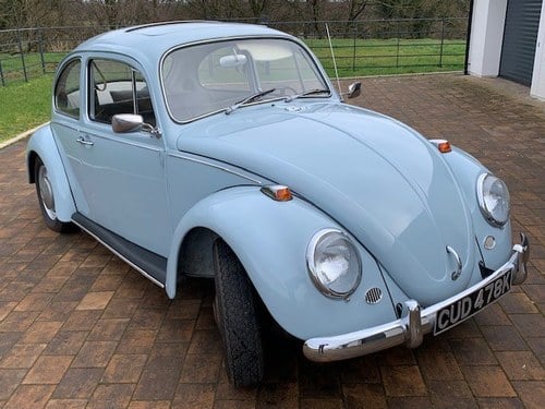 1966 Volkswagen Beetle - 3