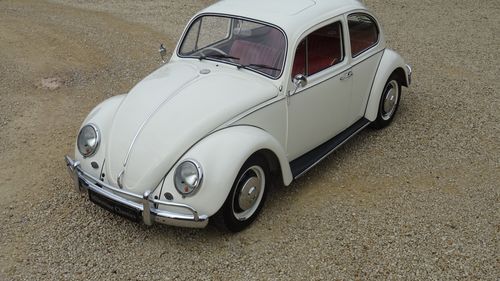 Picture of VW Beetle 1967 - Restored 2013/Superb Show Car - For Sale