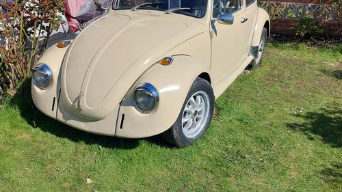 Picture of 1971 Volkswagen 1300A - For Sale