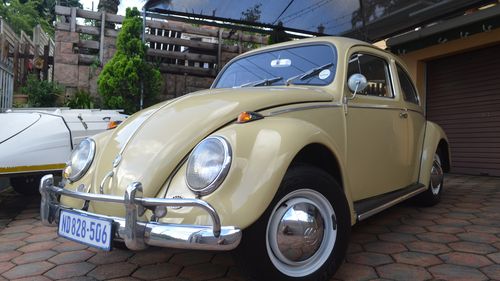 Picture of 1958 Volkswagen Beetle - For Sale