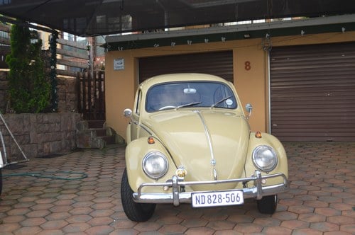 1958 Volkswagen Beetle - 2