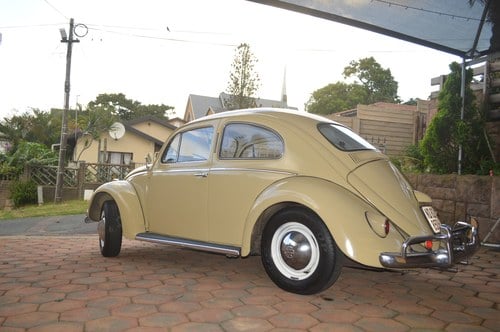 1958 Volkswagen Beetle - 5
