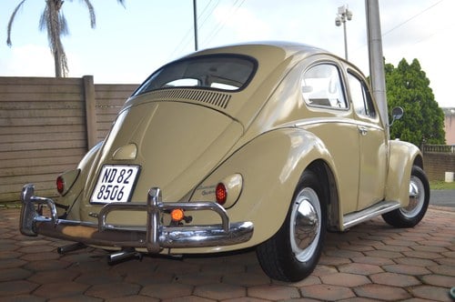 1958 Volkswagen Beetle - 8