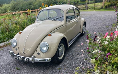 1967 Volkswagen Beetle (picture 1 of 7)