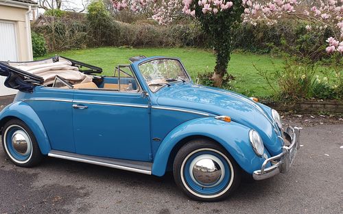1963 Volkswagen Karmann Convertible : to be auctioned soon! (picture 1 of 16)