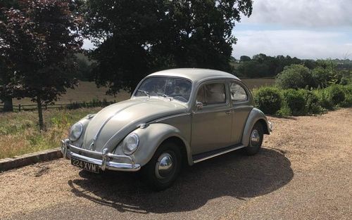 1958 Volkswagen Beetle (picture 1 of 11)