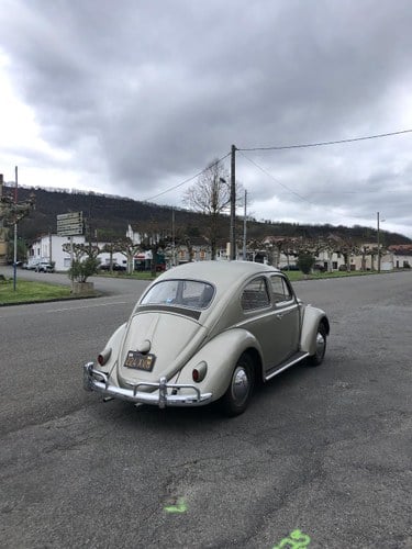 1958 Volkswagen Beetle - 3
