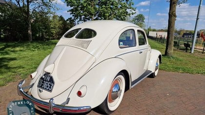 Volkswagen splitbug