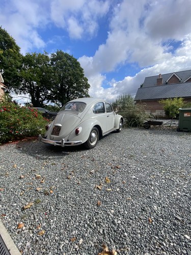 1965 Volkswagen Beetle