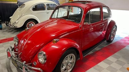 Volkswagen beetle 1500, Beetle 1967
