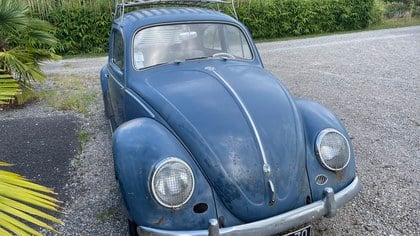 Volkswagen beetle, VW beetle