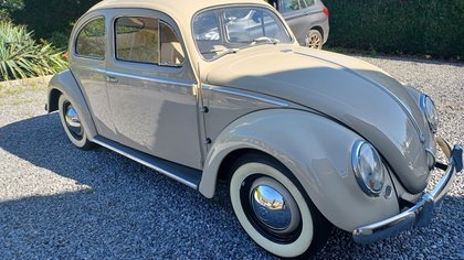 VW OVALE 1953 Volkswagen Beetle