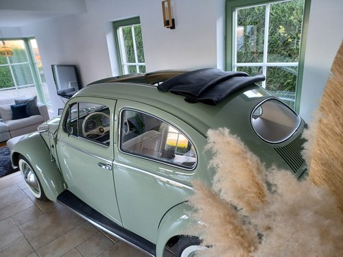 VW OVALE RAGTOP 1953 Volkswagen Beetle