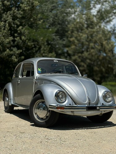 1981 Volkswagen Beetle