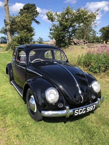 1957 Volkswagen Beetle oval